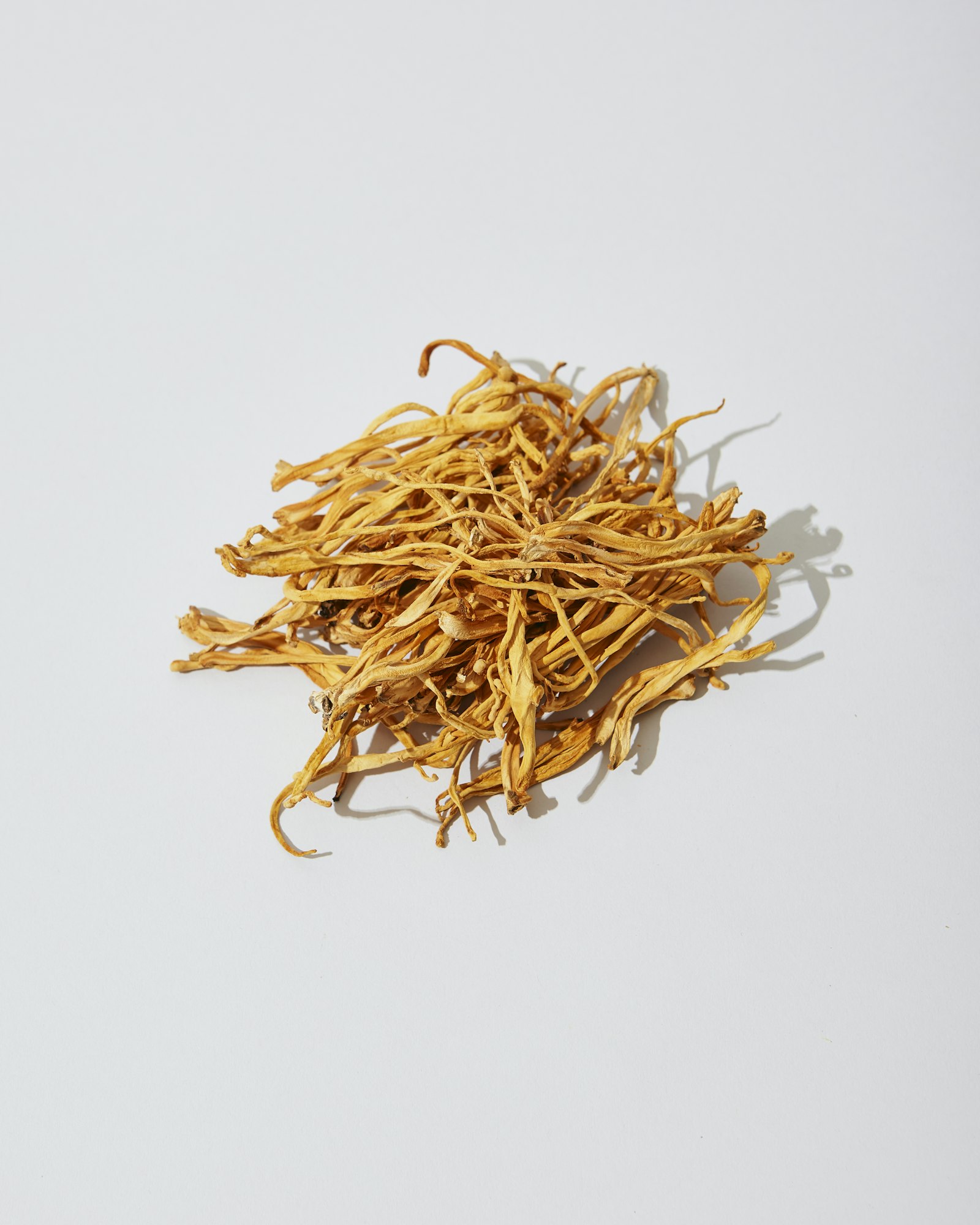 蟲草菌絲體膠囊禮盒